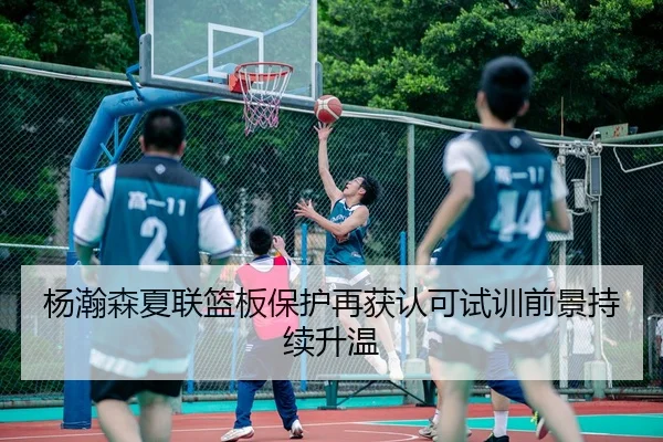 杨瀚森夏联篮板保护再获认可试训前景持续升温