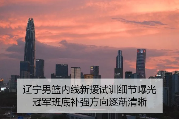 辽宁男篮内线新援试训细节曝光 冠军班底补强方向逐渐清晰